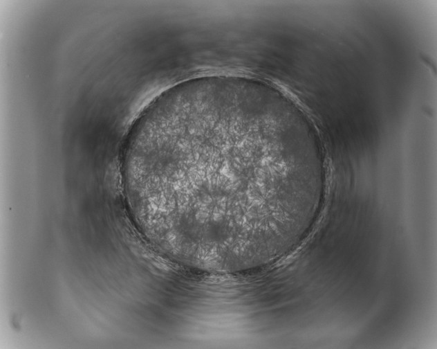 X0000099961215200806131502