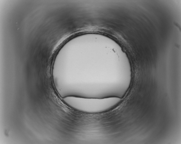 X0000099961216200806131502