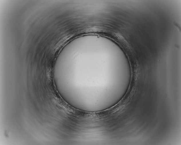 X0000099961217200806131502