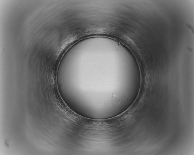 X0000099961218200806131502