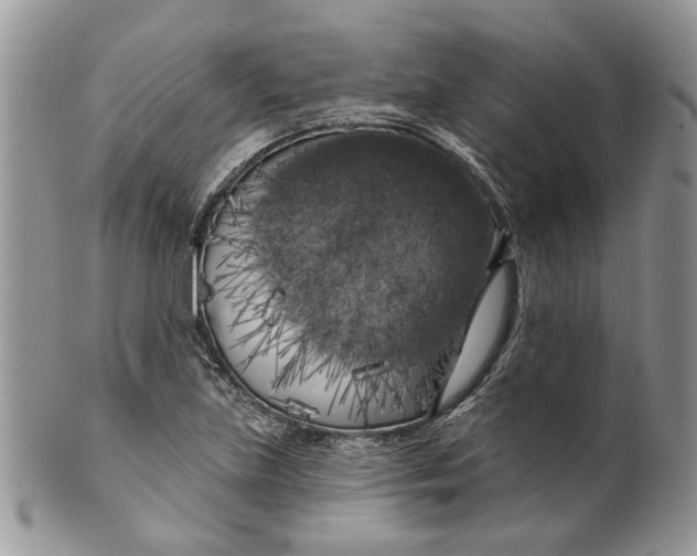 X0000099961219200806131502