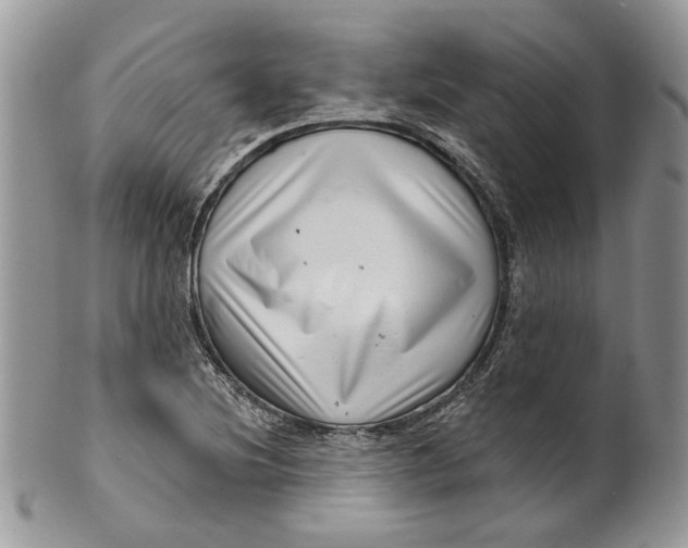 X0000099961220200806131502