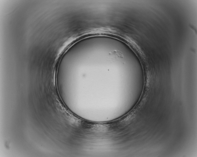 X0000099961224200806131502