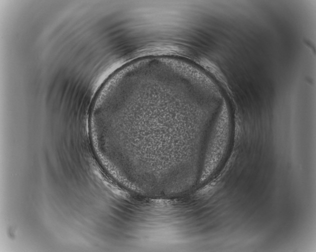 X0000099961226200806131502