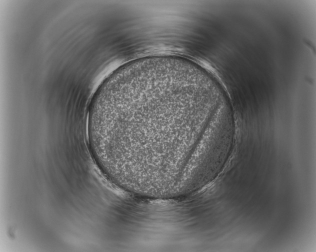 X0000099961227200806131502