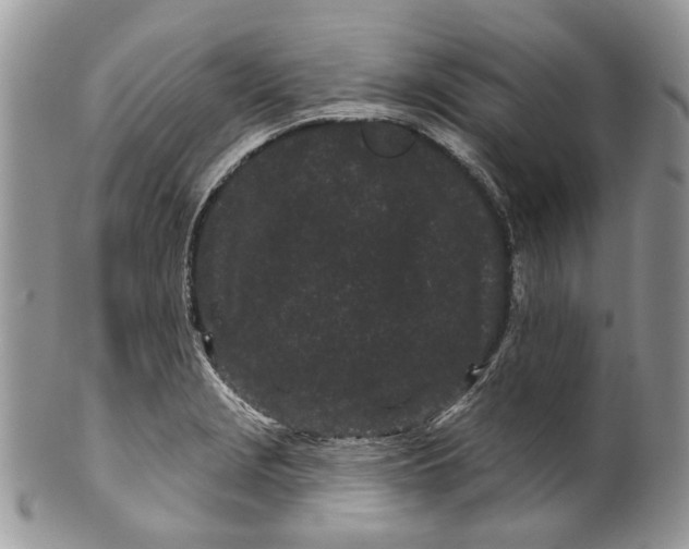 X0000099961229200806131502