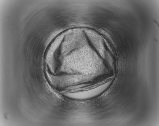 X0000099961231200806131502
