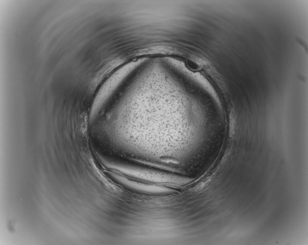 X0000099961233200806131502