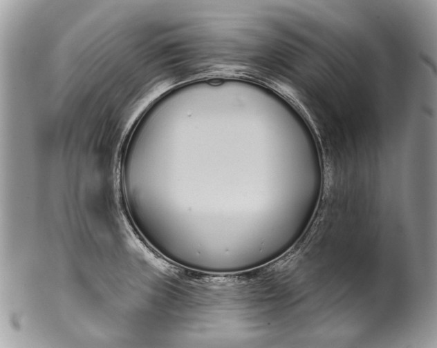 X0000099961235200806131502