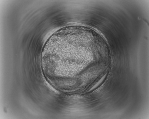 X0000099961239200806131502