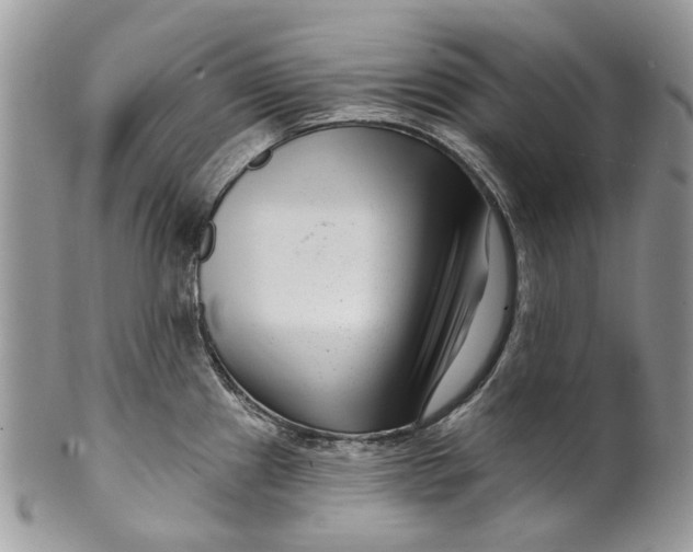 X0000099961241200806131503