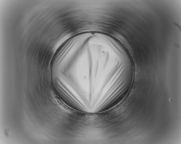 X0000099961242200806131503