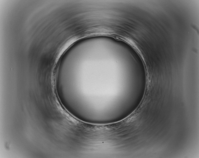 X0000099961243200806131503