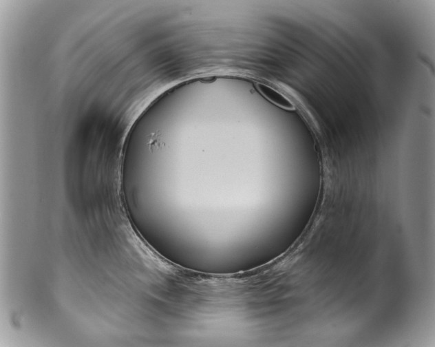 X0000099961244200806131503