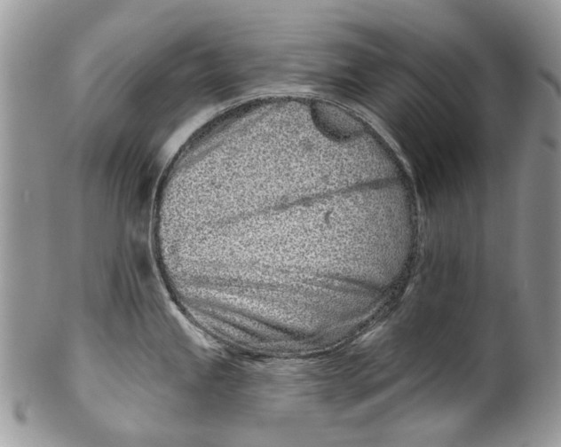 X0000099961245200806131503