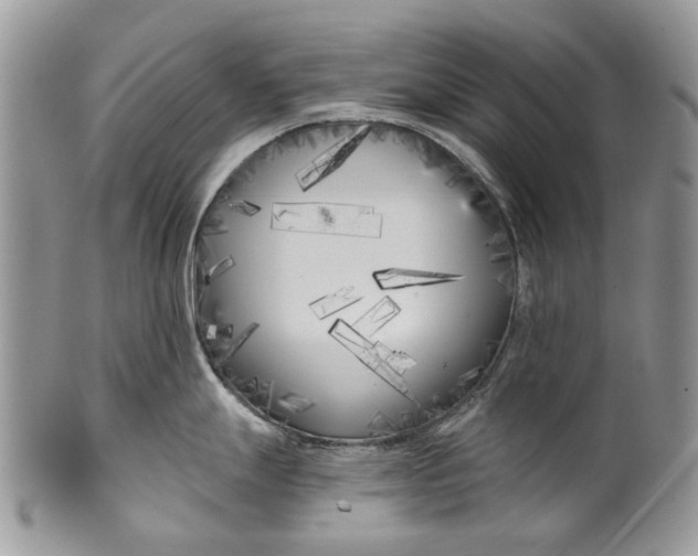 X0000099961247200806131503