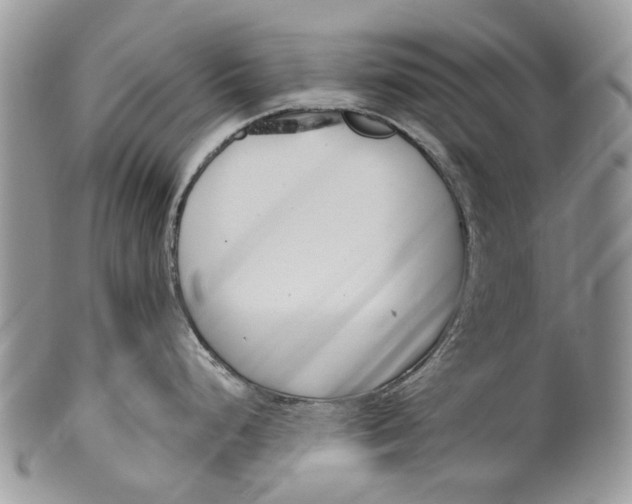 X0000099961248200806131503
