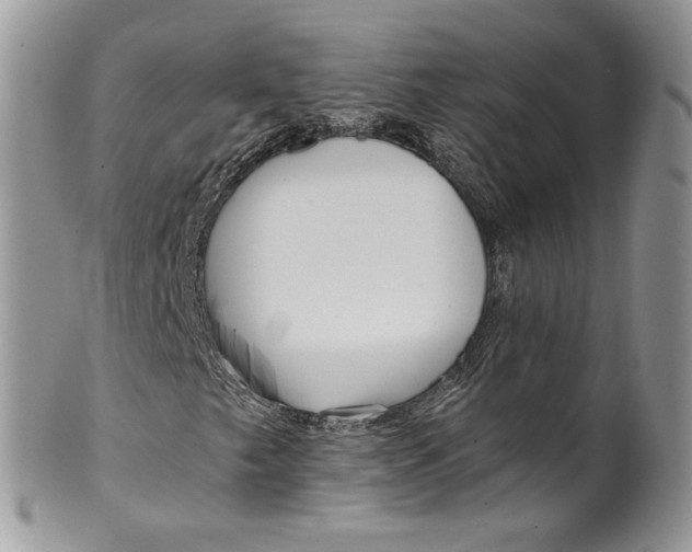 X0000099961249200806131502