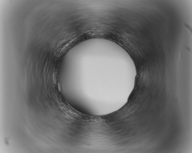 X0000099961250200806131502