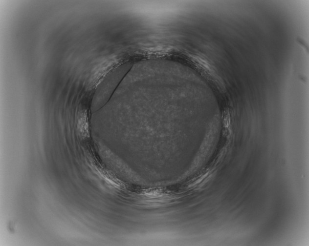X0000099961252200806131502