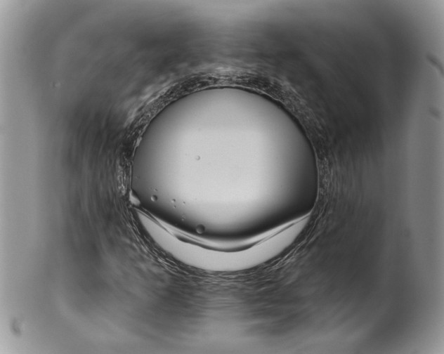 X0000099961253200806131502