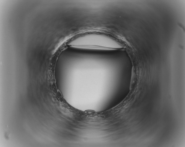 X0000099961256200806131502