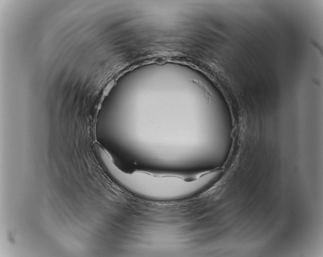 X0000099961257200806131502