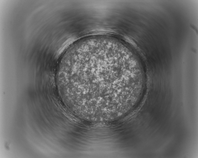 X0000099961259200806131502