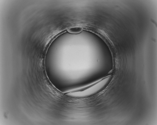 X0000099961260200806131502