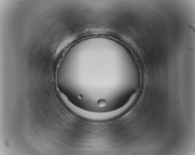 X0000099961261200806131502