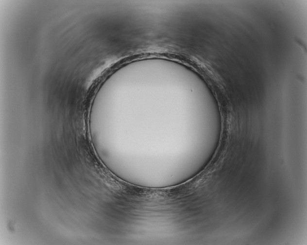 X0000099961262200806131502