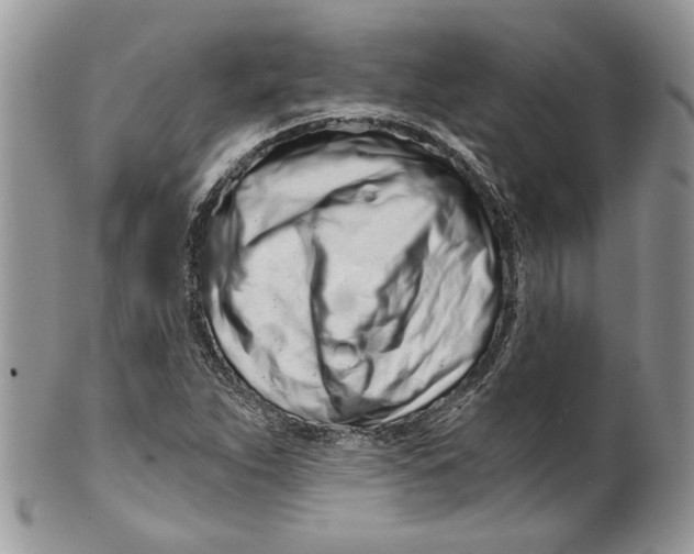 X0000099961263200806131502