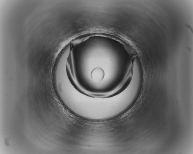 X0000099961264200806131502