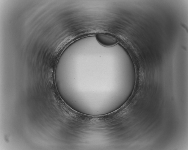 X0000099961265200806131502