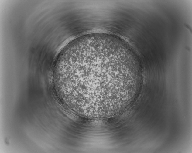 X0000099961266200806131502