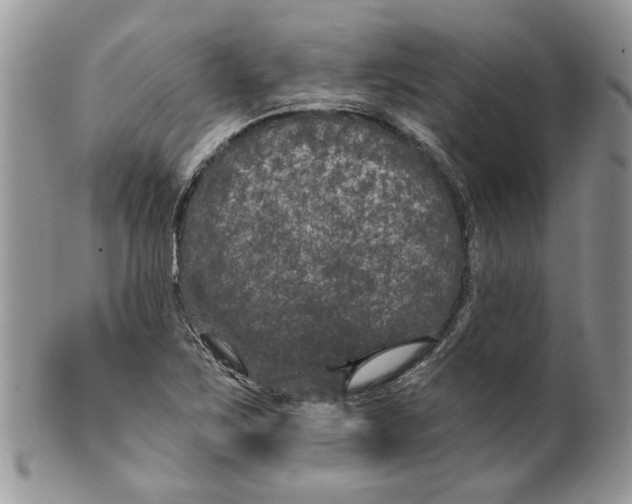 X0000099961267200806131502