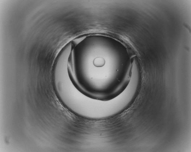 X0000099961268200806131502