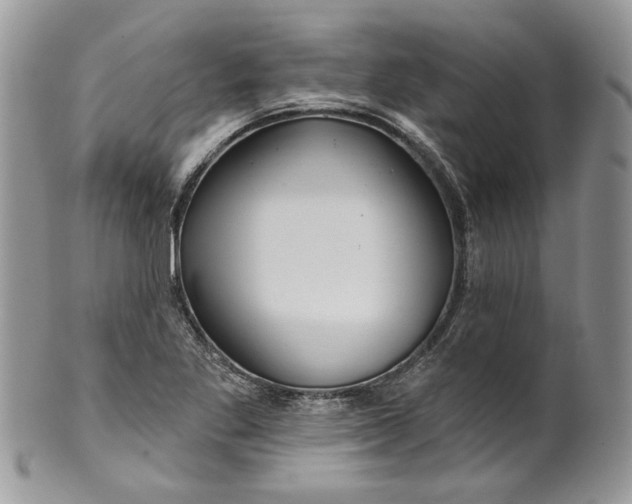 X0000099961269200806131502