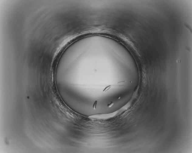 X0000099961270200806131501