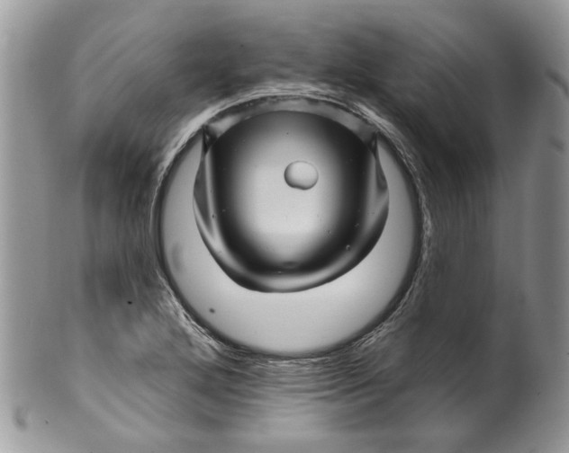 X0000099961272200806131501