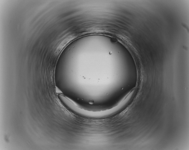 X0000099961273200806131501