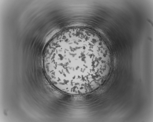X0000099961274200806131501