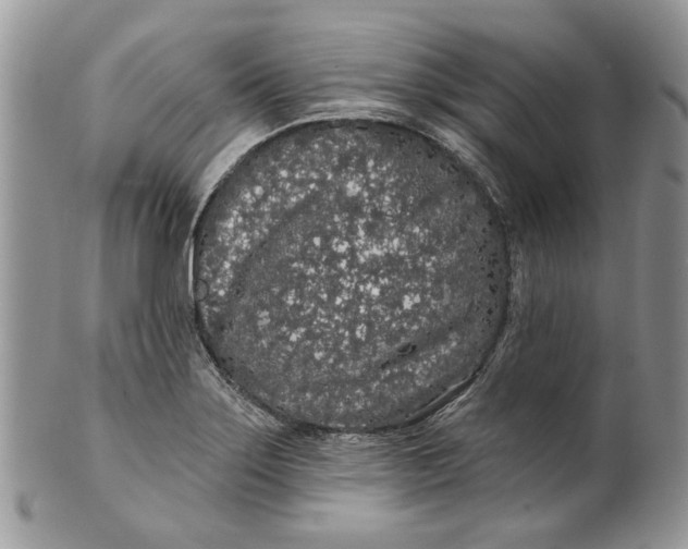 X0000099961275200806131501