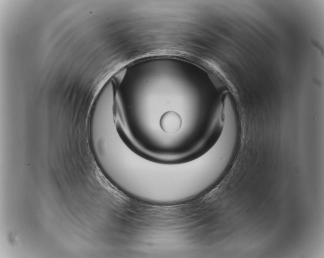 X0000099961276200806131501