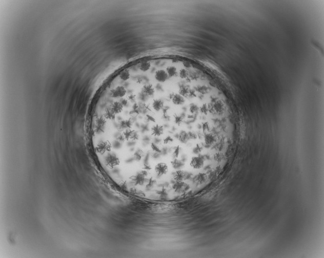 X0000099961278200806131501