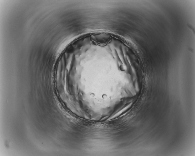 X0000099961279200806131501