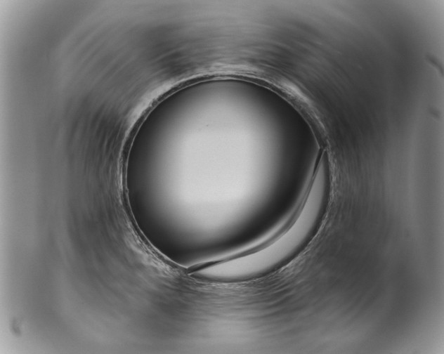 X0000099961280200806131501