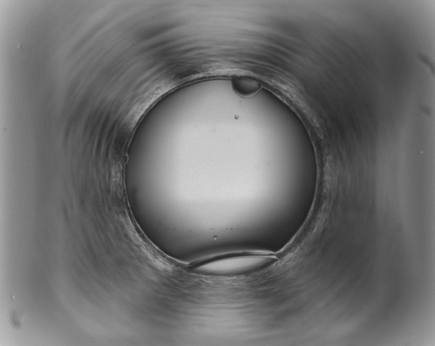 X0000099961281200806131501