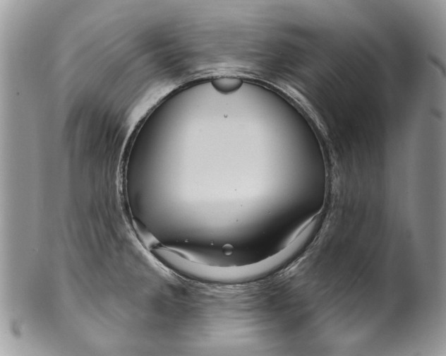 X0000099961285200806131501