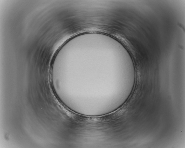 X0000099961286200806131501